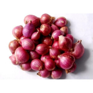 big onion
